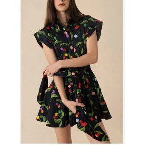 Borgo De Nor Helena Dress Womens 4 Multicolor Cherry Print Shirt Fit Flare Mini